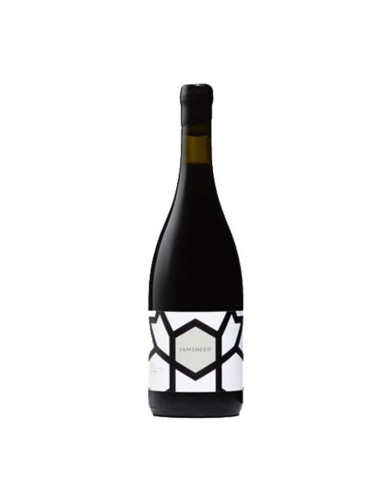 jamsheed syrah.jpg
