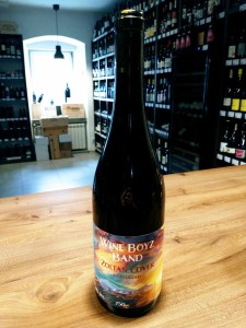 Wine Boyz Band Zoltan Cover unplugged