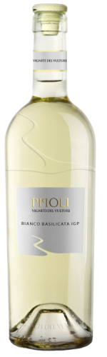 pipoli b.png